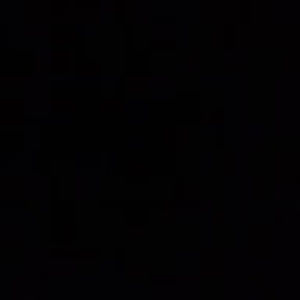 Meet your Posher, Alondra